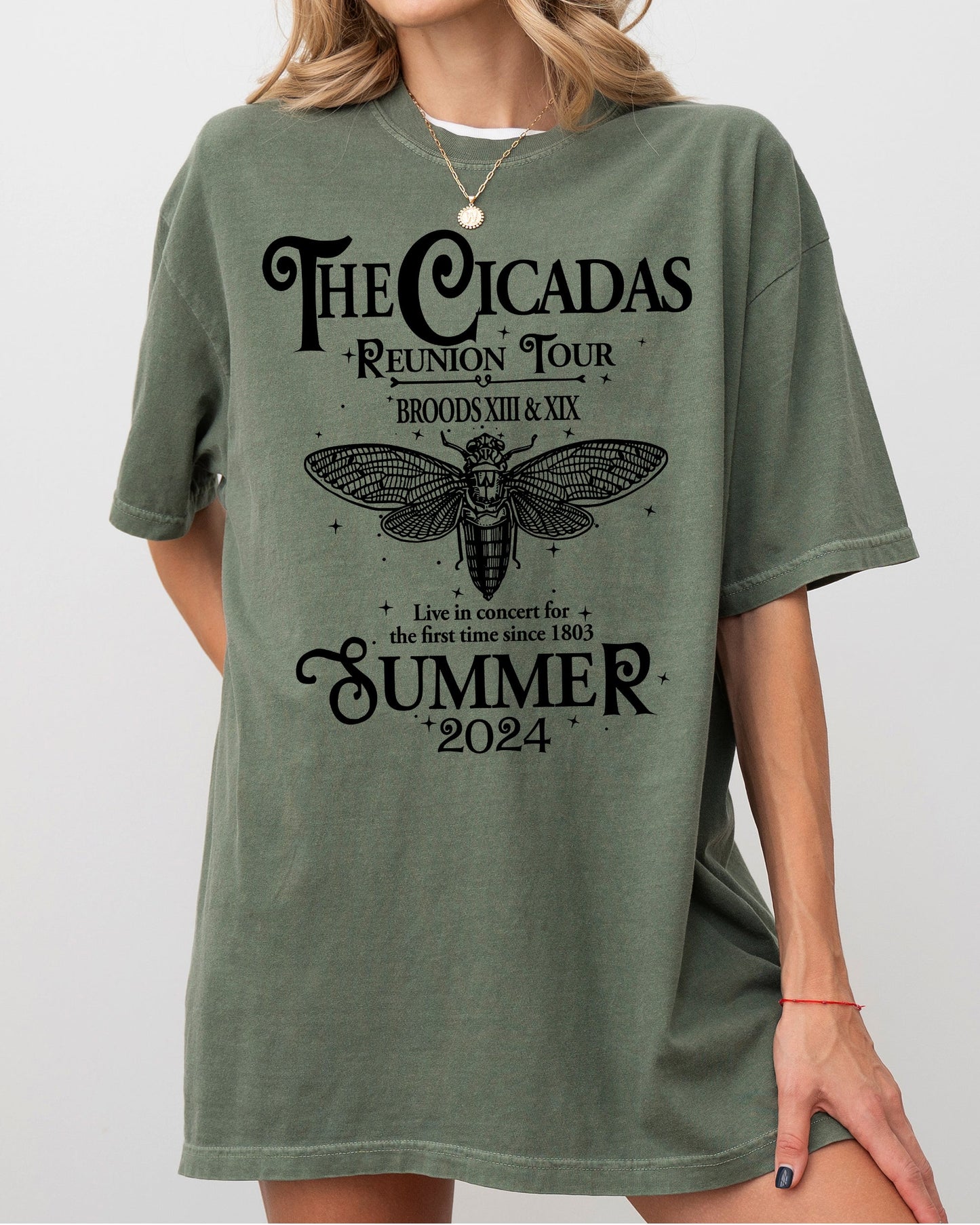 Cicadas Reunion Tour, Summer 2024, Nature Lover, Double Brood, XIII, XIX, Outdoors, Concert Shirt Comfort Colors T-Shirt