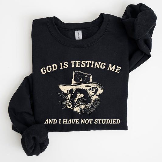 God Is Testing Me, Opossum, Possum, Funny Sweatshirt
