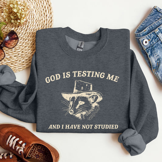 God Is Testing Me, Opossum, Possum, Funny Sweatshirt