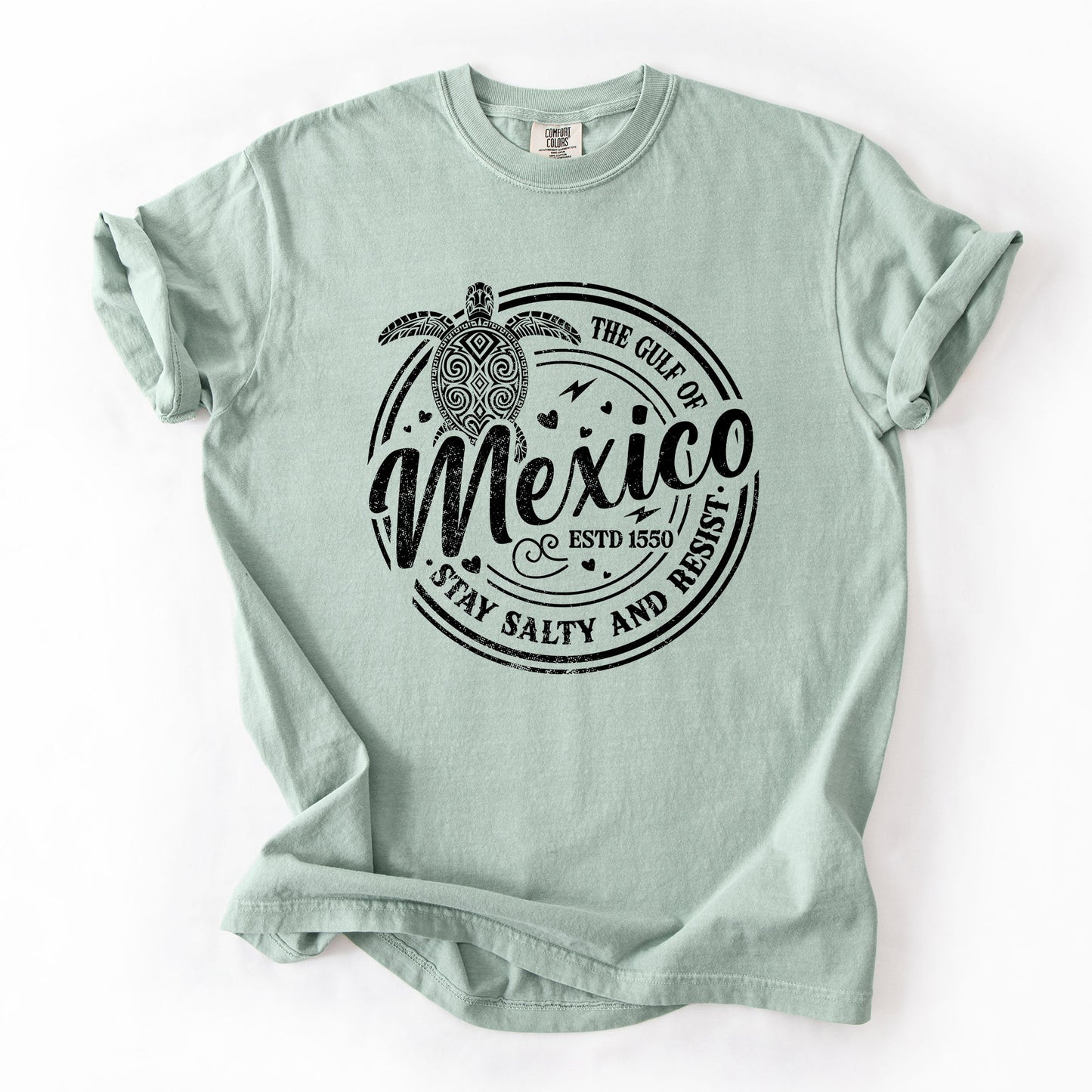 Gulf Of Mexico, Stay Salty, Resist, Turtle, Retro, Vintage Tshirt Comfort Colors T-Shirt
