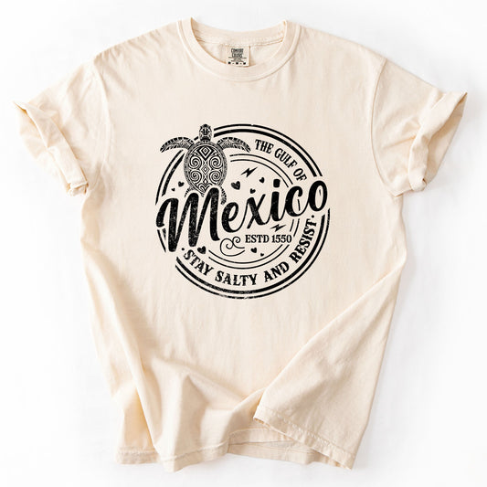 Gulf Of Mexico, Stay Salty, Resist, Turtle, Retro, Vintage Tshirt Comfort Colors T-Shirt