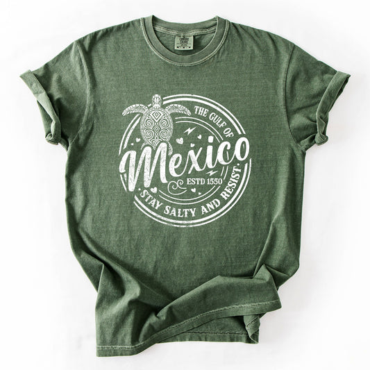 Gulf Of Mexico, Stay Salty, Resist, Turtle, Retro, Vintage Tshirt Comfort Colors T-Shirt