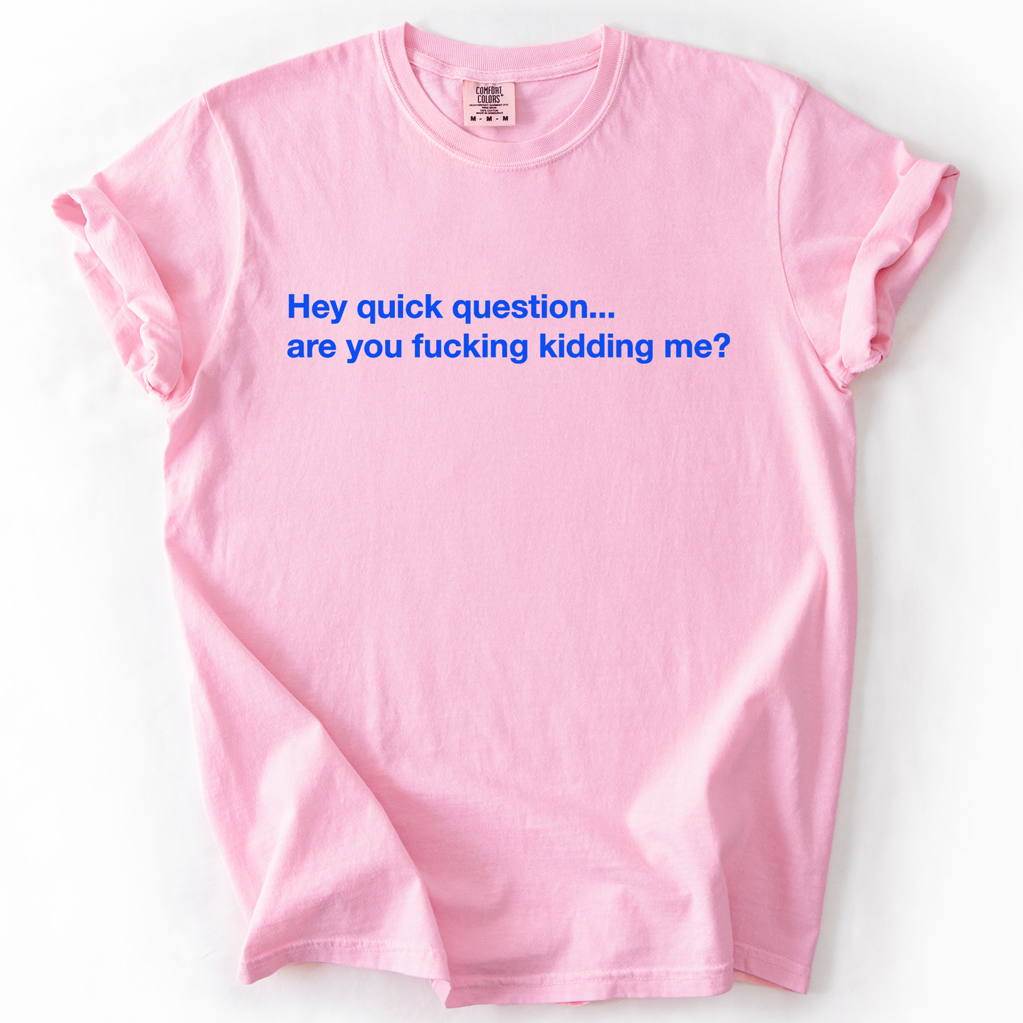 Hey Quick Question, Are You Kidding Me, Vulgar, Sassy, Sarcastic, Minimalist, Funny, Comfort Colors T-Shirt