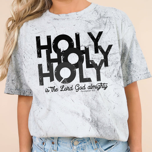 Holy, Lord God Almighty, Religious, Christian, Jesus, Faith, Gospel, Color Blast Tshirt Comfort Colors T-Shirt