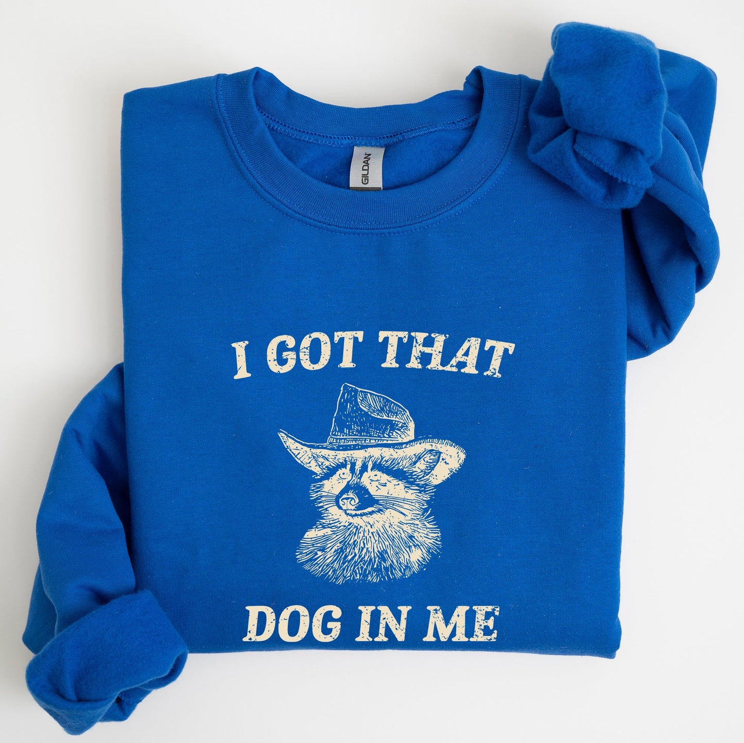 I Got That Dog In Me, Raccoon, Meme, Aesthetic, Funny Sweatshirt