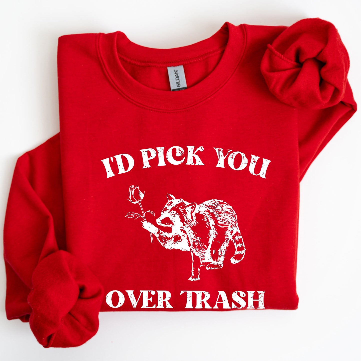 I'd Pick You Over Trash, Raccoon, Funny, Aesthetic Sweatshirt