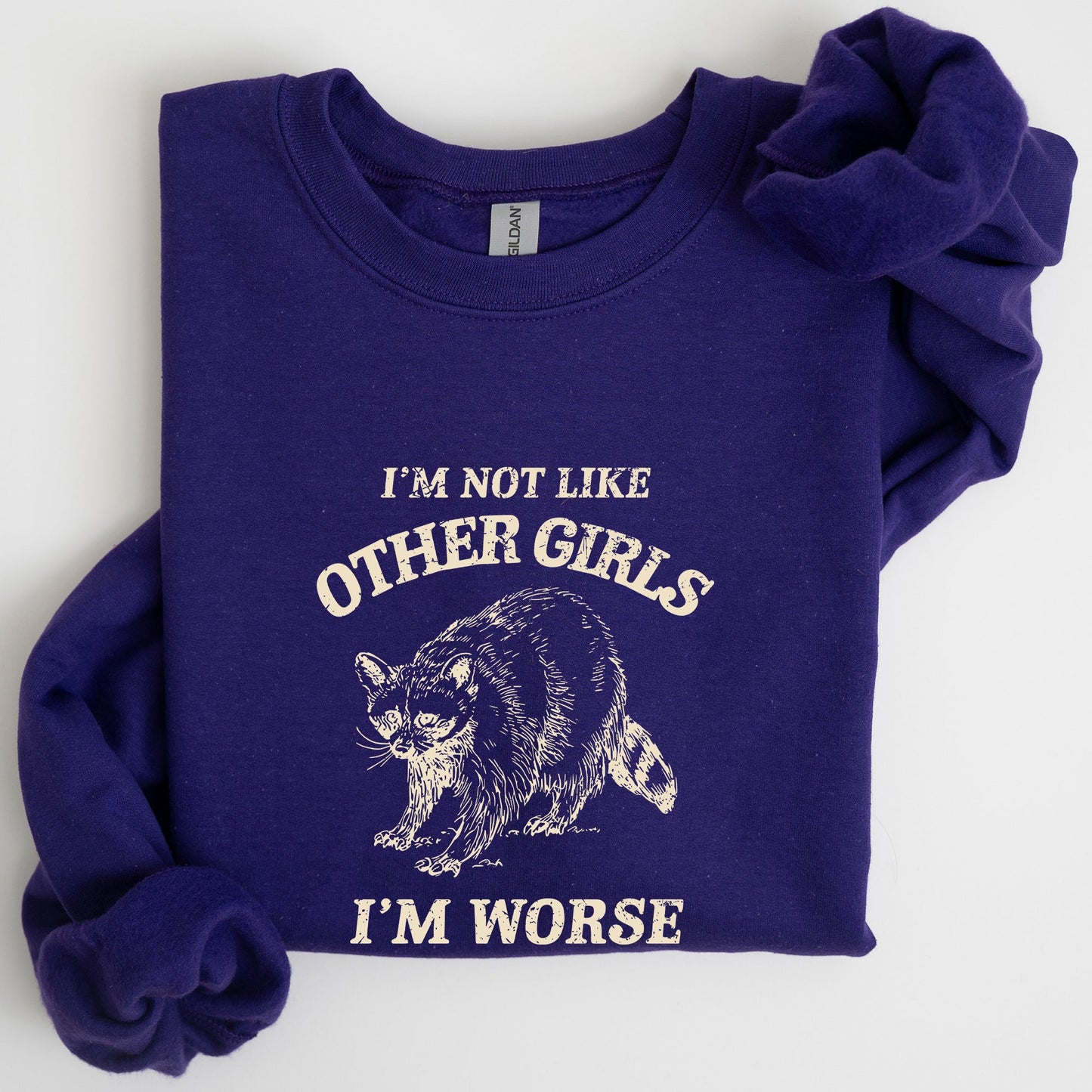 I'm Not Like Other Girls, Raccoon, Meme, Aesthetic, Funny Sweatshirt