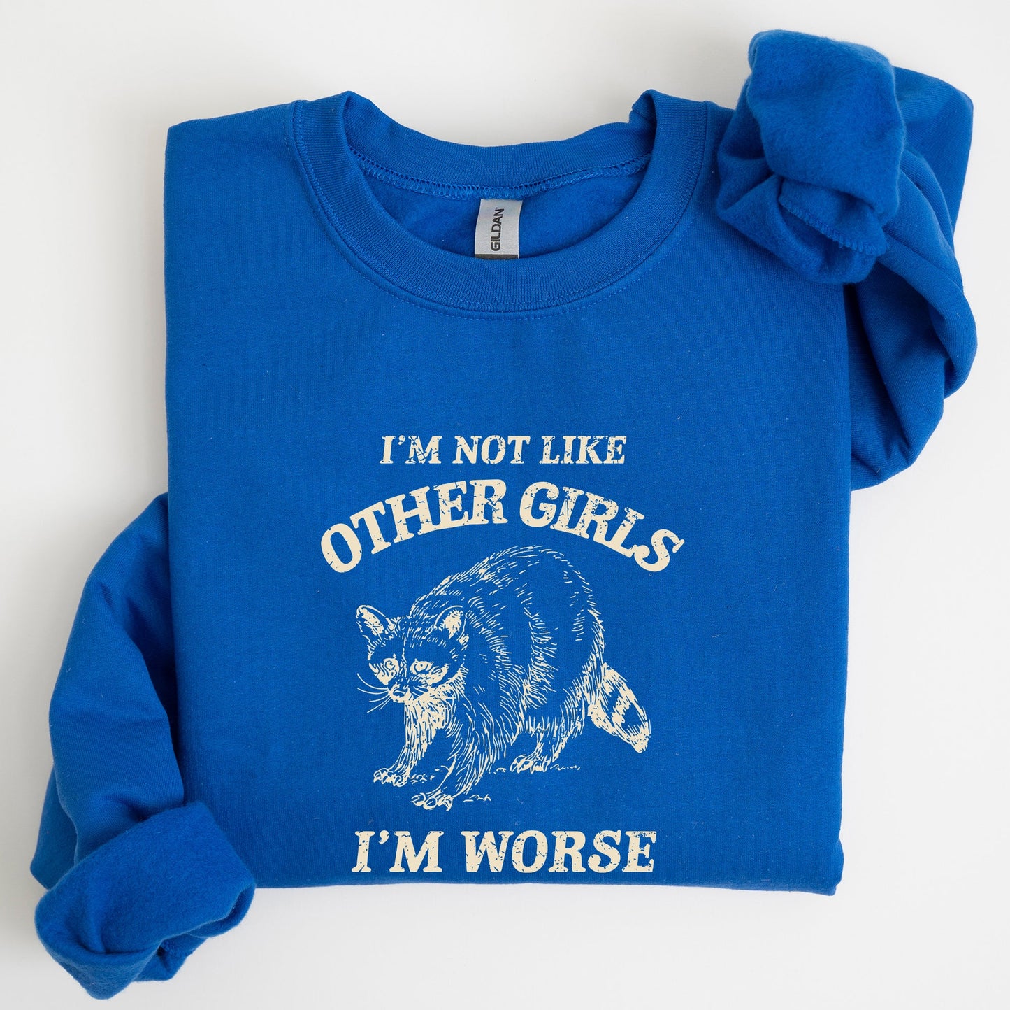 I'm Not Like Other Girls, Raccoon, Meme, Aesthetic, Funny Sweatshirt