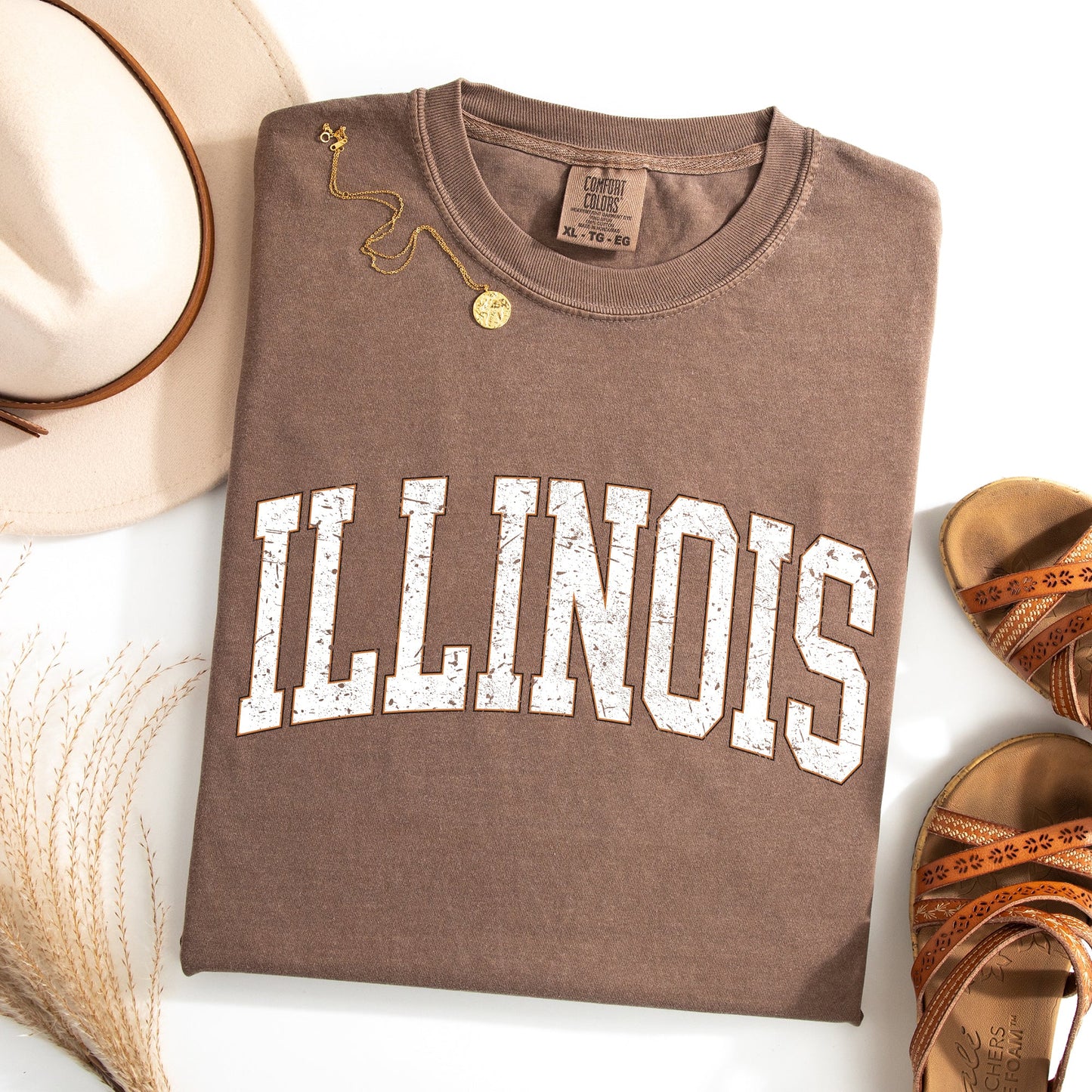 Illinois, Football, Sports, Game Day, Big Game, Touchdown, Tailgate Party, University, College, State Tshirt Comfort Colors T-Shirt