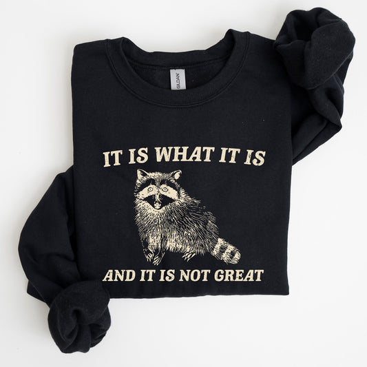 It Is What It Is And It Is Not Great, Raccoon, Funny, Aesthetic Sweatshirt