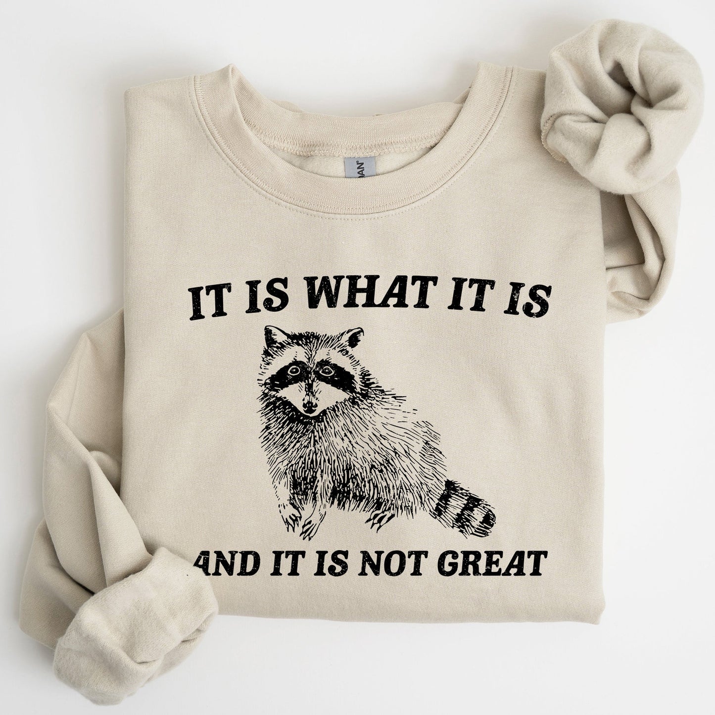 It Is What It Is And It Is Not Great, Raccoon, Funny, Aesthetic Sweatshirt