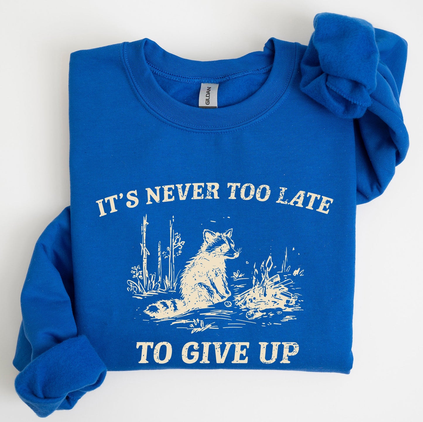 It's Never Too Late To Give Up, Raccoon, Meme, Aesthetic, Funny Sweatshirt