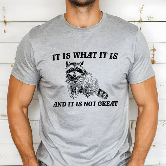 It Is What It Is And It's Not Great, Raccoon, Funny, Aesthetic, Meme Soft T-Shirt Comfort Colors T-Shirt