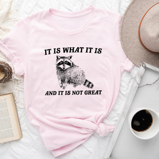 It Is What It Is And It's Not Great, Raccoon, Funny, Aesthetic, Meme Soft T-Shirt Comfort Colors T-Shirt