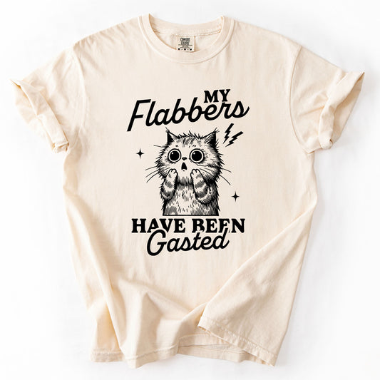 My Flabbers Have Been Gasted, Flabbergasted Cat, Funny, Sassy, Sarcastic Tshirt Comfort Colors T-Shirt