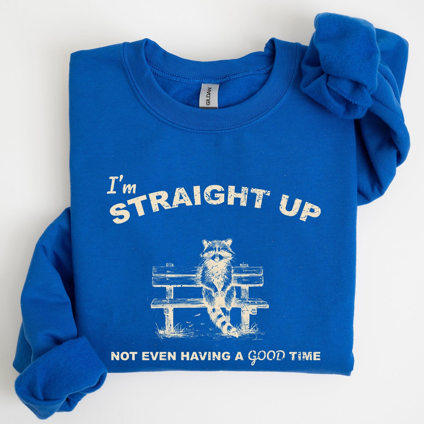 Not Having A Good Time, Raccoon, Meme, Aesthetic, Funny Sweatshirt