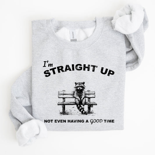 Not Having A Good Time, Raccoon, Meme, Aesthetic, Funny Sweatshirt