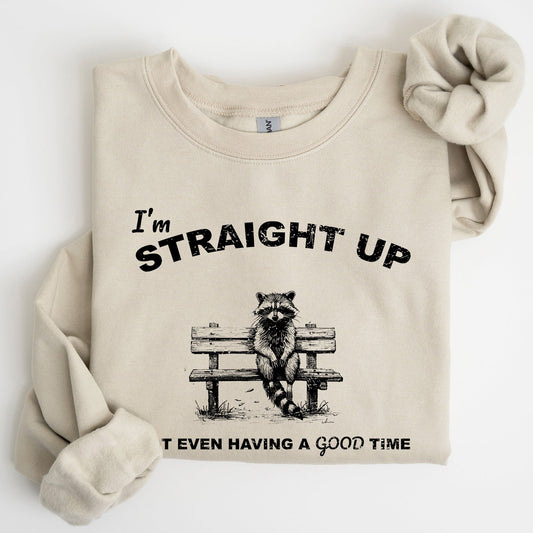 Not Having A Good Time, Raccoon, Meme, Aesthetic, Funny Sweatshirt
