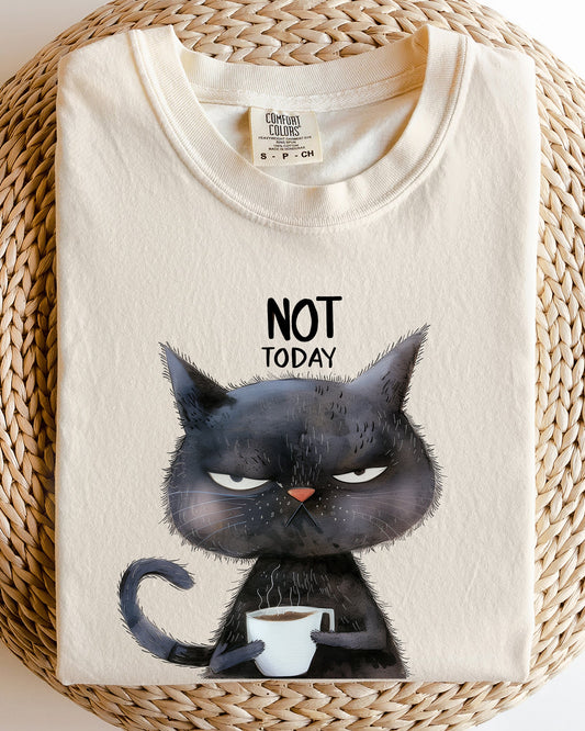 Not Today, Cat, Grumpy, Coffee, Funny, Meme Shirt Comfort Colors T-Shirt