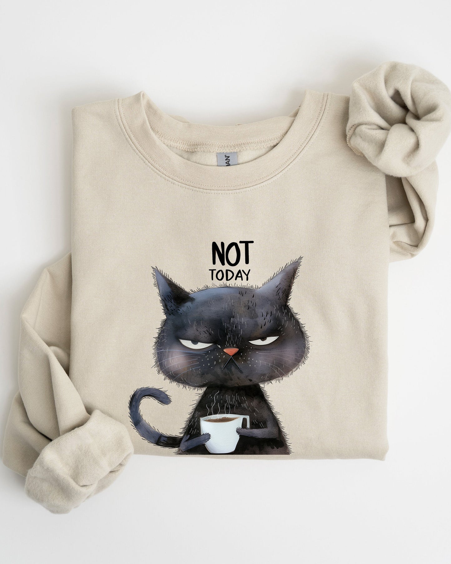 Not Today, Cat, Grumpy, Coffee, Funny, Meme Sweatshirt