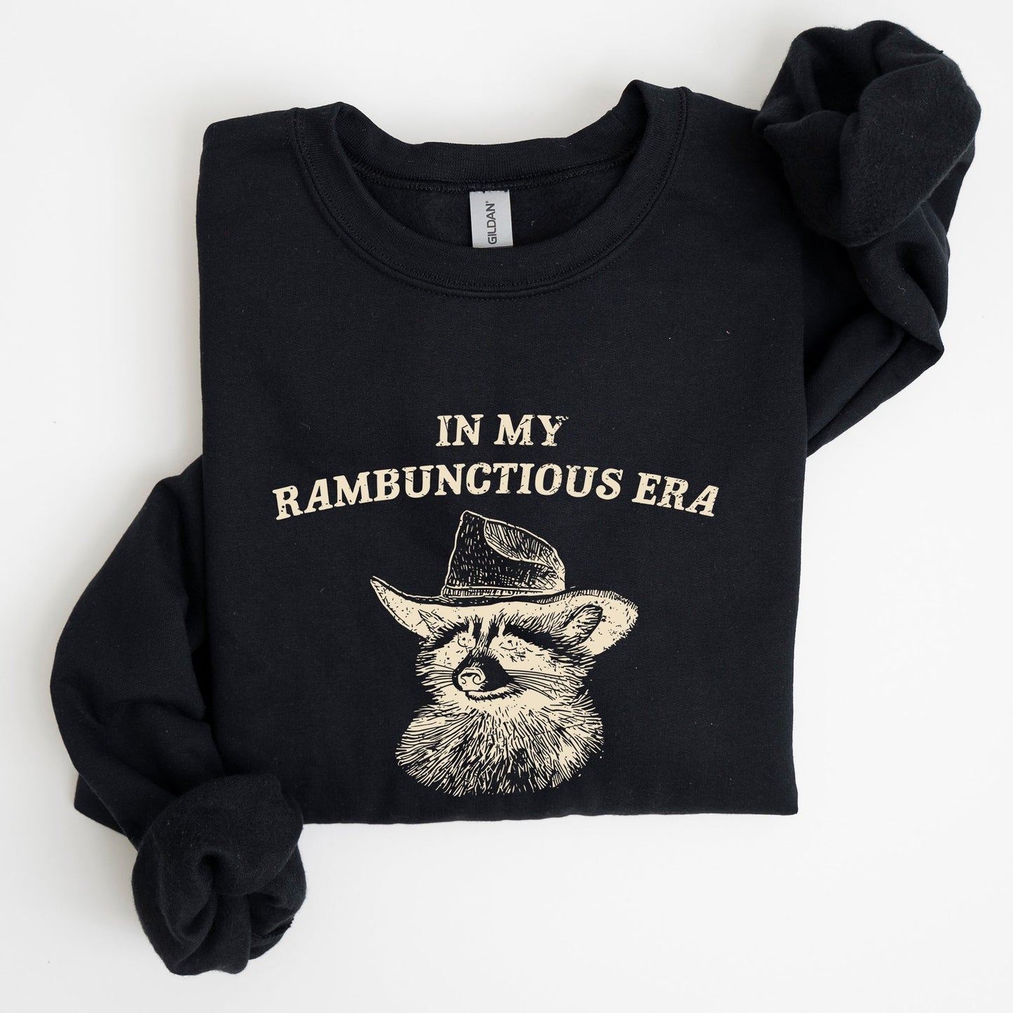 Rambunctious Era, Raccoon, Meme, Aesthetic, Funny Sweatshirt