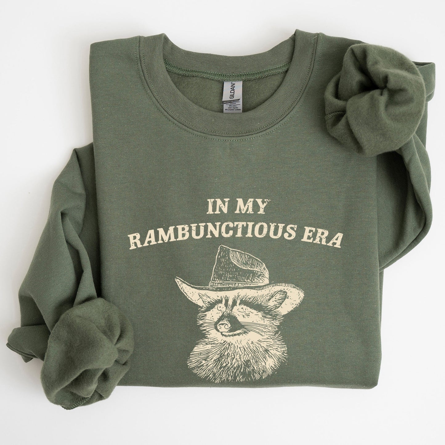 Rambunctious Era, Raccoon, Meme, Aesthetic, Funny Sweatshirt