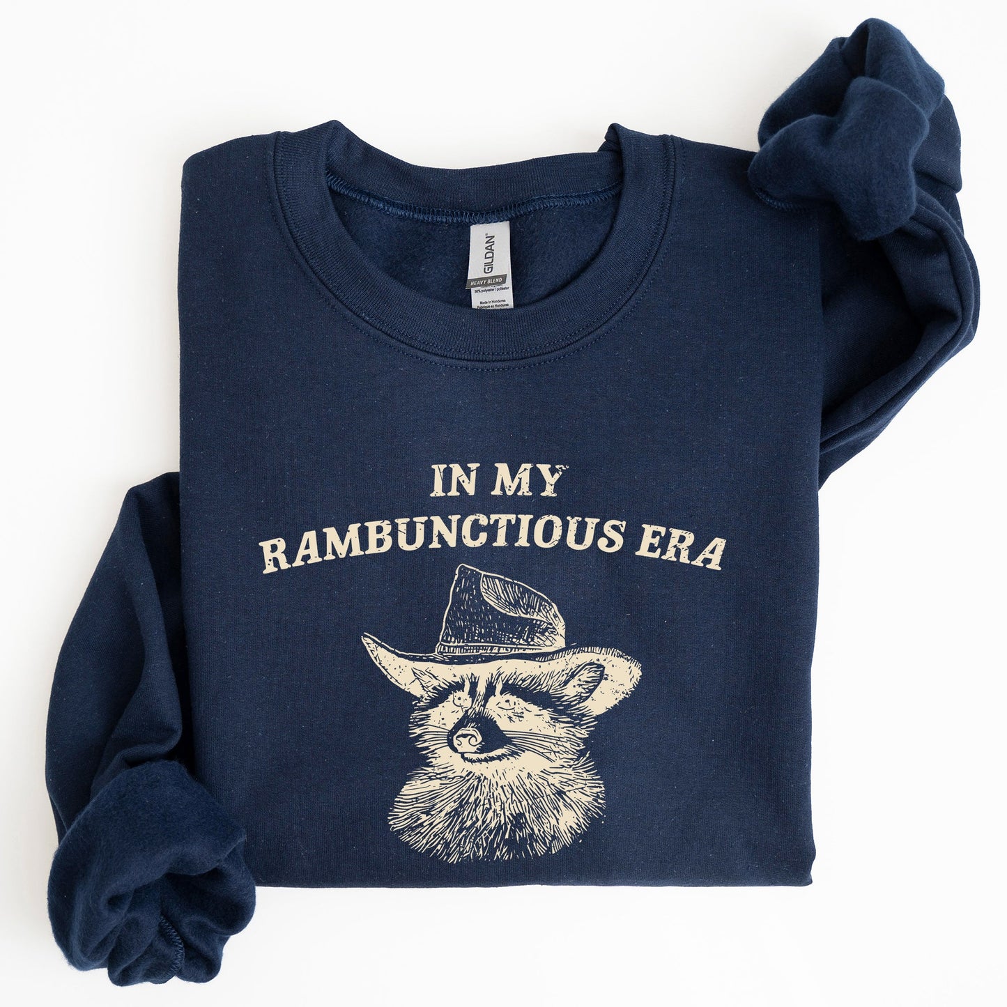 Rambunctious Era, Raccoon, Meme, Aesthetic, Funny Sweatshirt