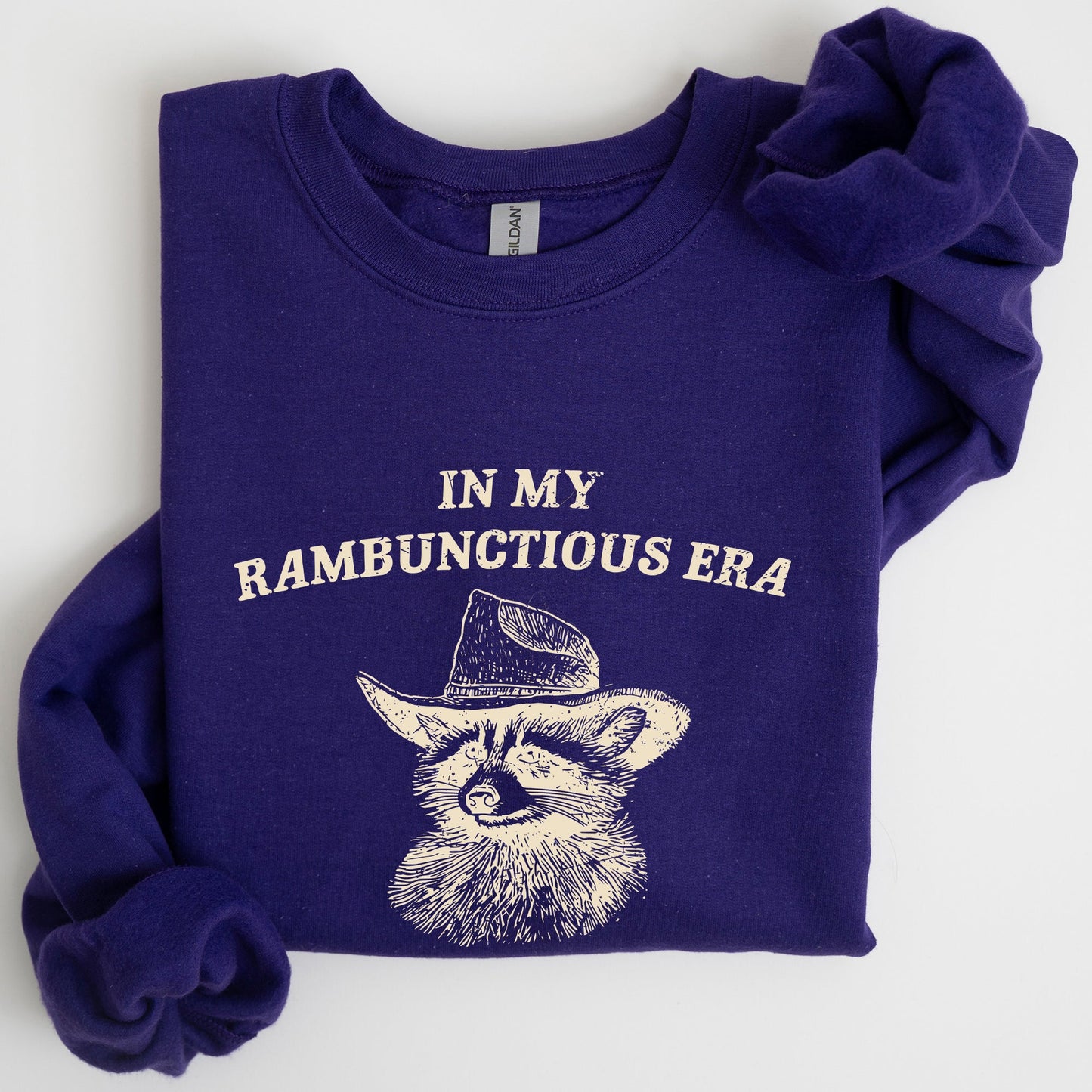 Rambunctious Era, Raccoon, Meme, Aesthetic, Funny Sweatshirt