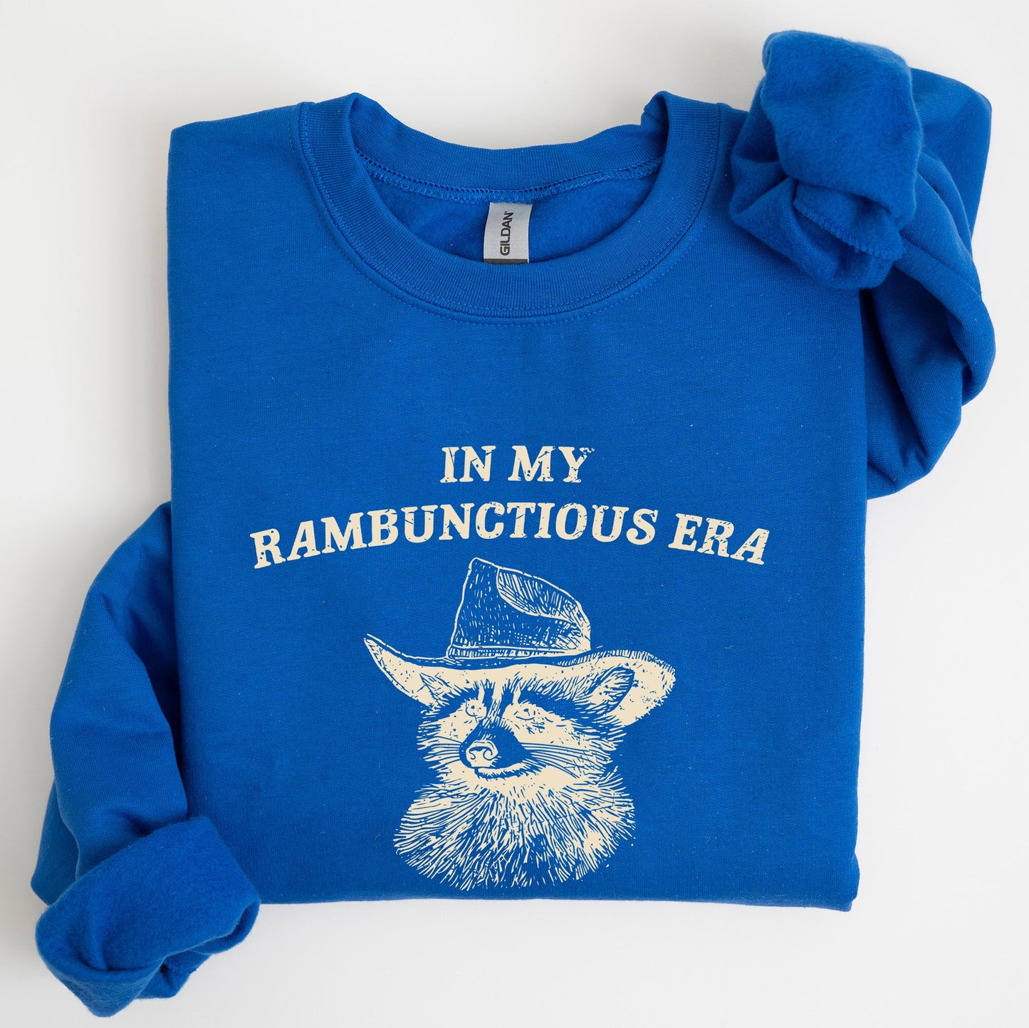 Rambunctious Era, Raccoon, Meme, Aesthetic, Funny Sweatshirt