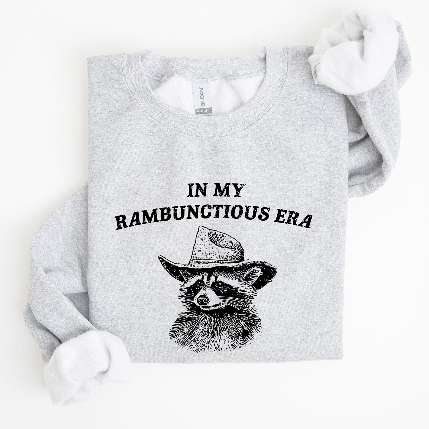 Rambunctious Era, Raccoon, Meme, Aesthetic, Funny Sweatshirt