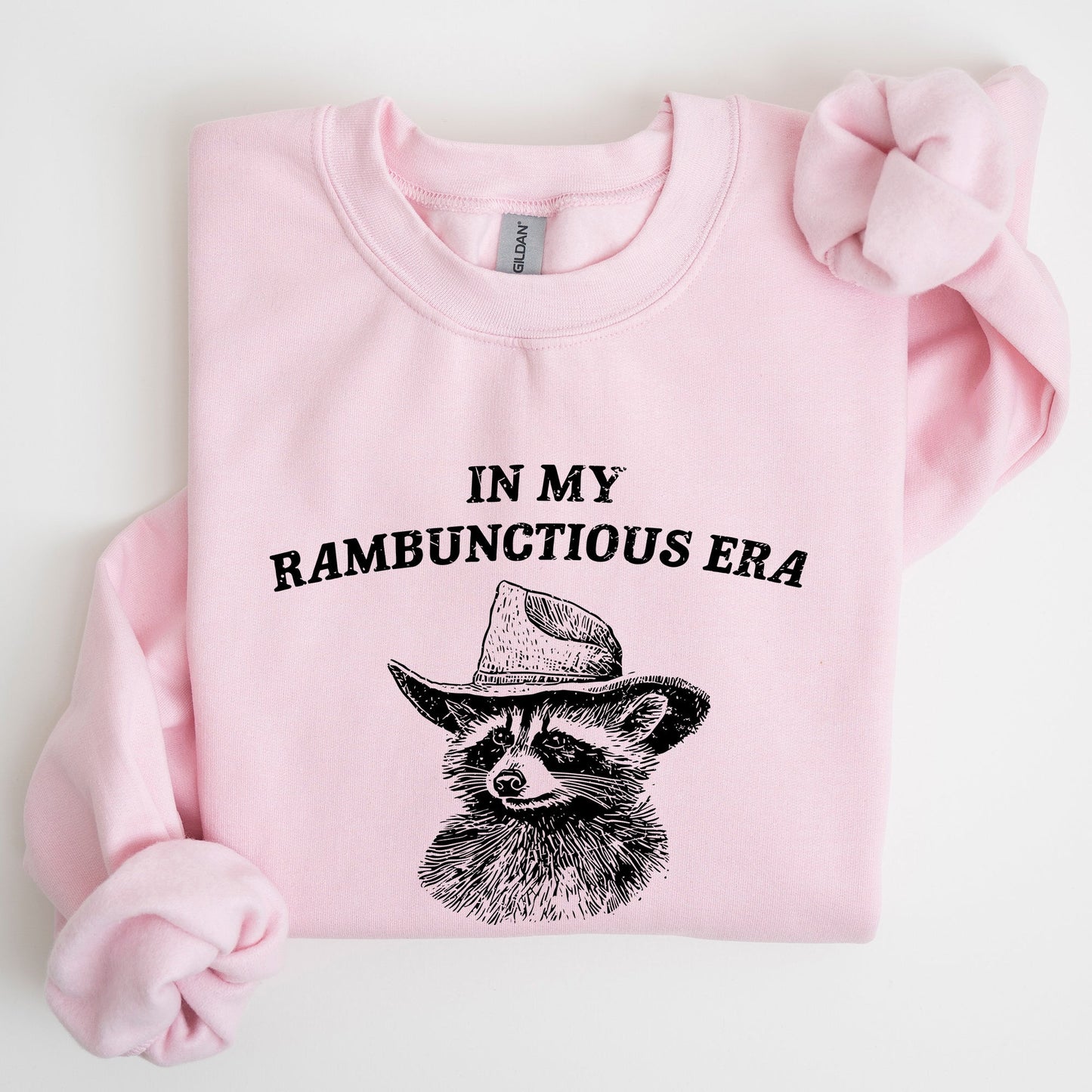 Rambunctious Era, Raccoon, Meme, Aesthetic, Funny Sweatshirt