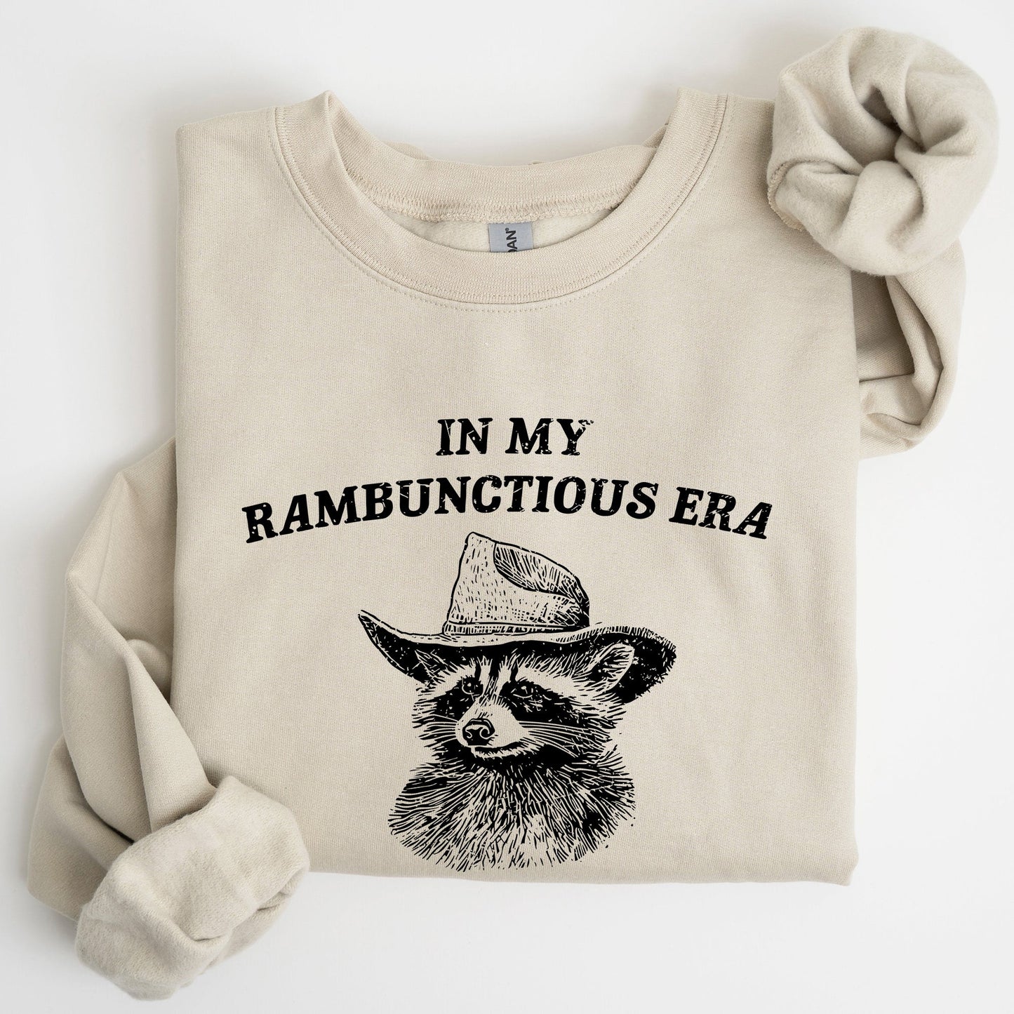 Rambunctious Era, Raccoon, Meme, Aesthetic, Funny Sweatshirt