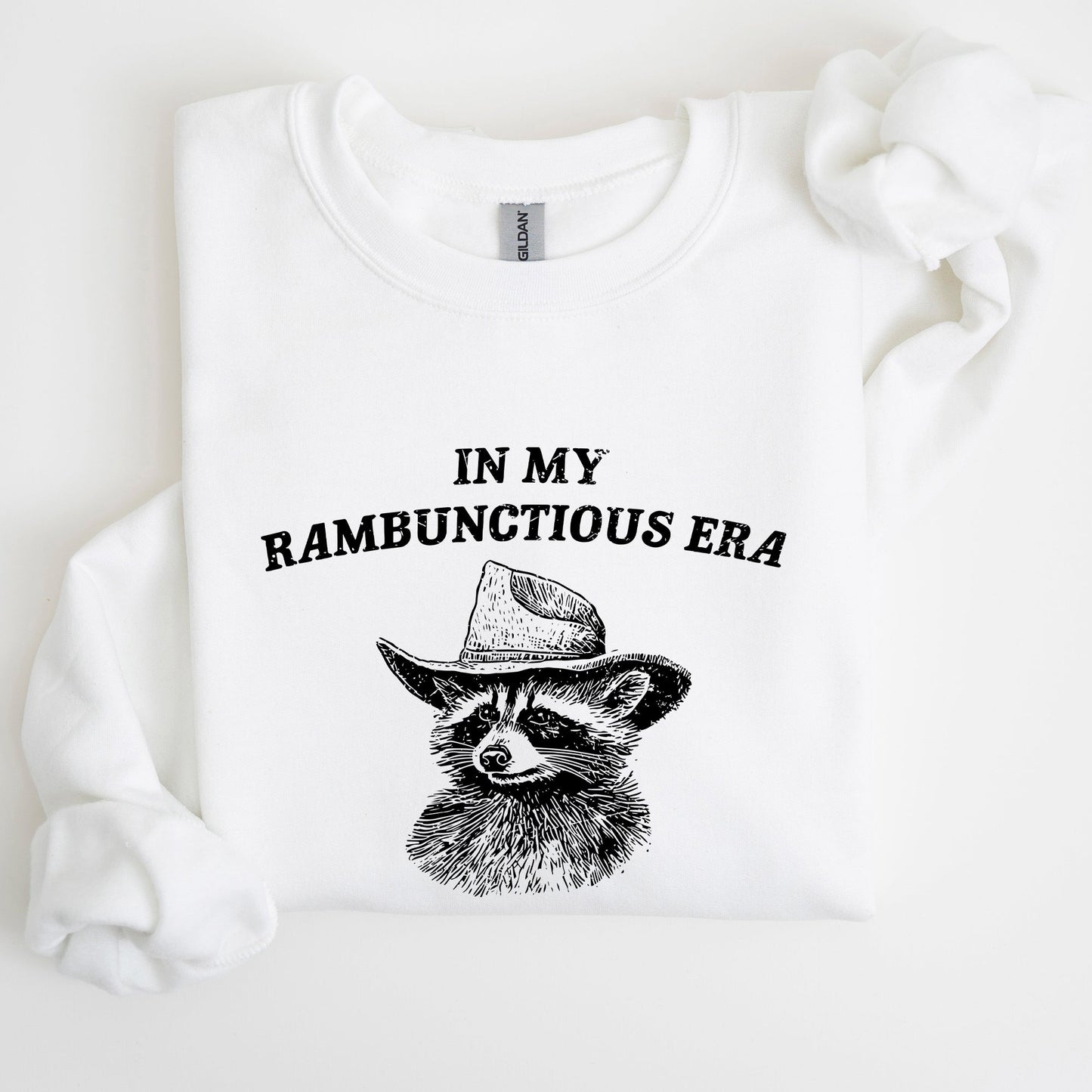 Rambunctious Era, Raccoon, Meme, Aesthetic, Funny Sweatshirt