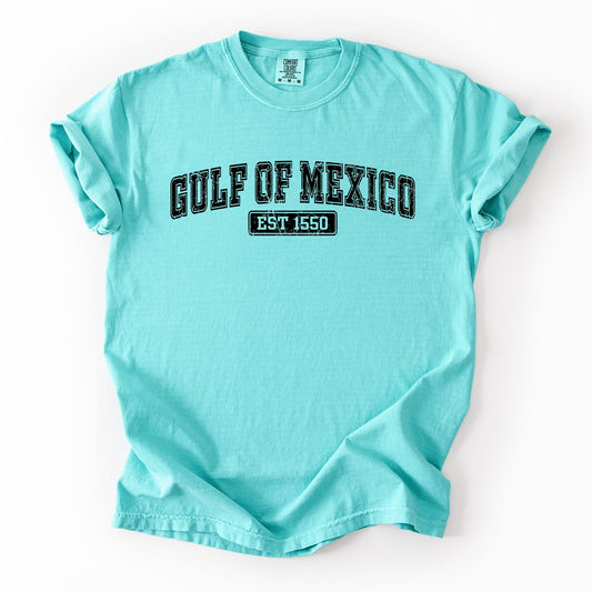 Retro Gulf Of Mexico, Varsity, Vintage, Established 1550 Tshirt Comfort Colors T-Shirt