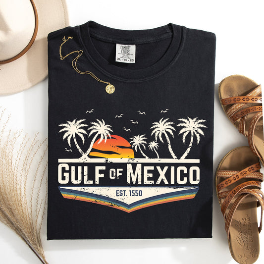 Retro Gulf Of Mexico, Vintage, Established 1550, Birds, Beach, Palm Trees Tshirt Comfort Colors T-Shirt