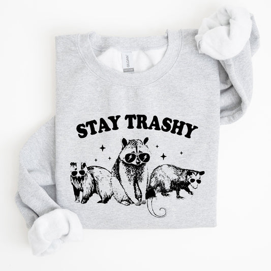 Stay Trashy, Racoon, Possum, Aesthetic, Meme, Funny Sweatshirt