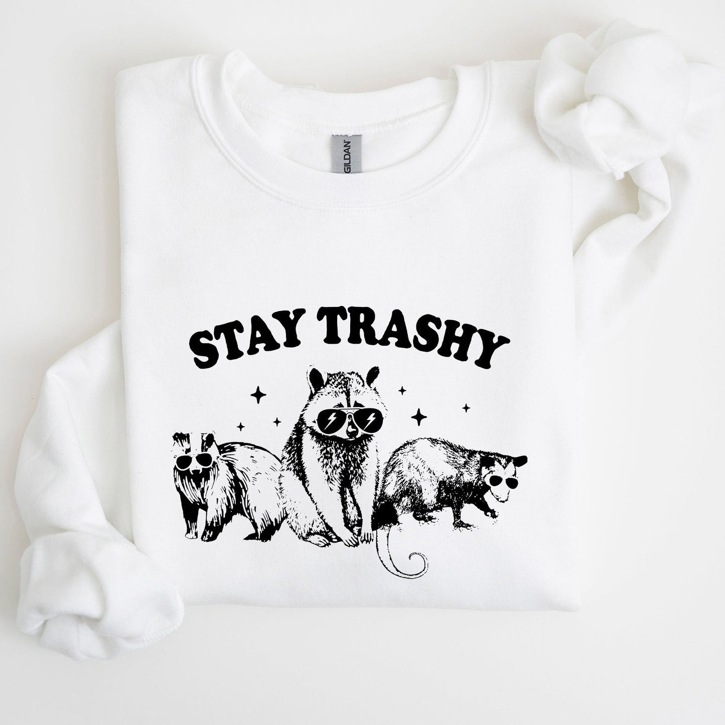 Stay Trashy, Racoon, Possum, Aesthetic, Meme, Funny Sweatshirt