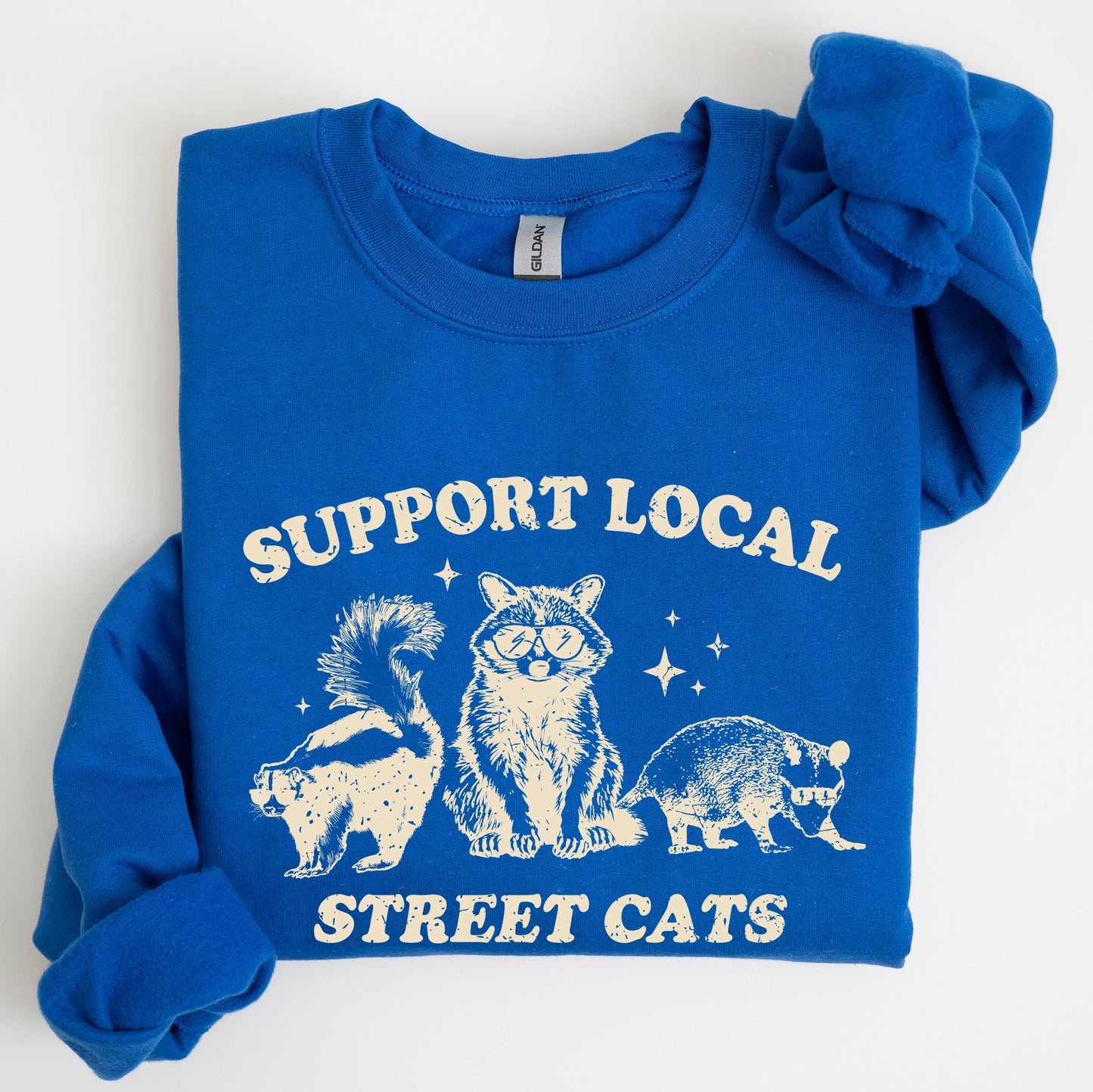 Support Local Street Cats, Raccoon, Skunk, Possum, Meme, Funny, Aesthetic Sweatshirt