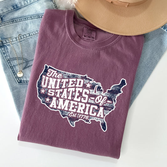 United States of America, Patriotic, 4th of July Tshirt Comfort Colors T-Shirt