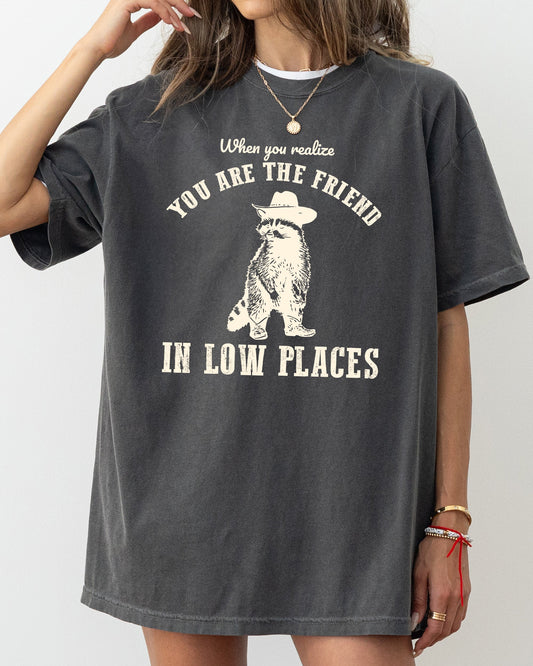 When You Realize, You Are The Friend In Low Places, Funny, Raccoon, Aesthetic, Sarcastic Shirt Comfort Colors T-Shirt