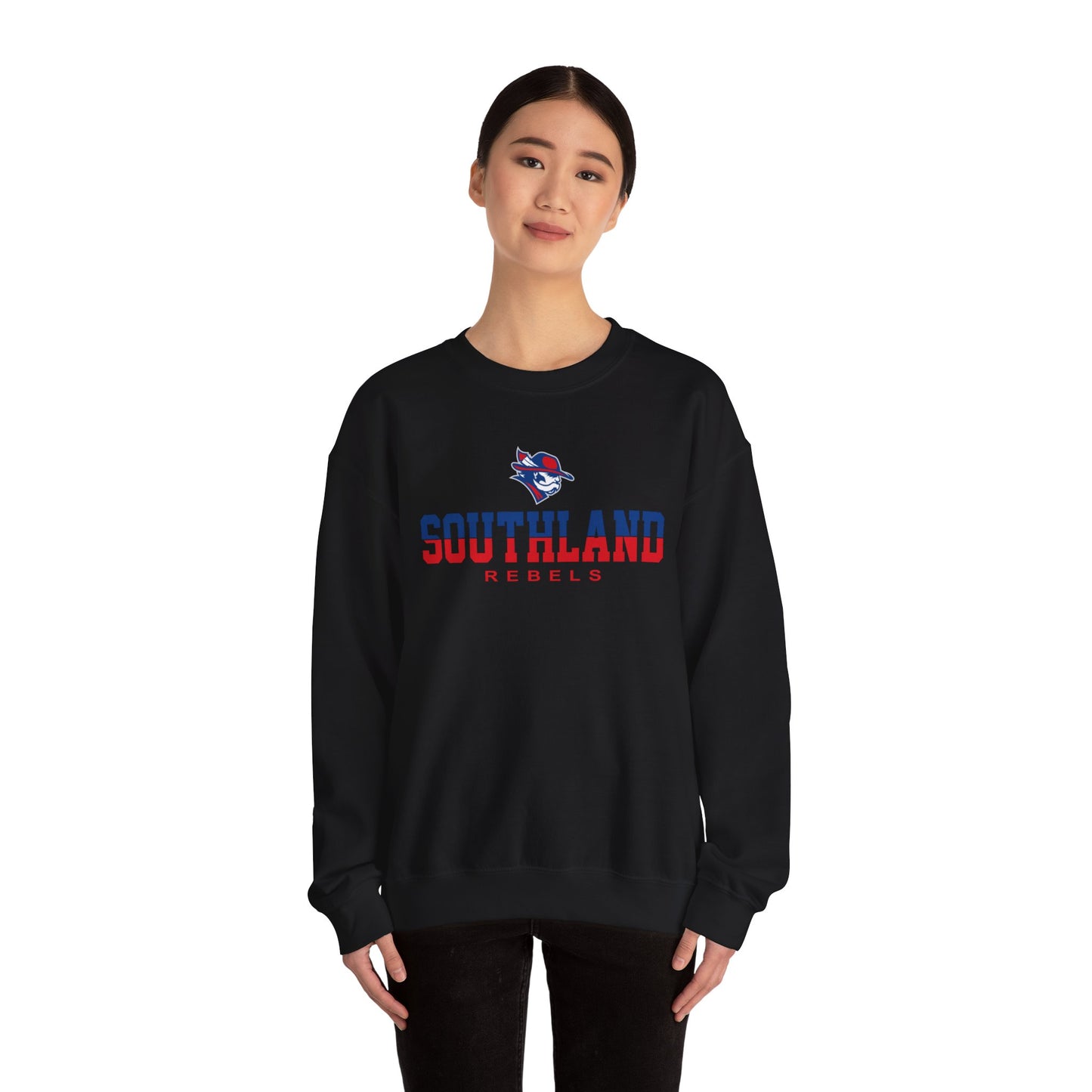 Southland Rebels Crewneck Sweatshirt – Vintage Collegiate Pullover