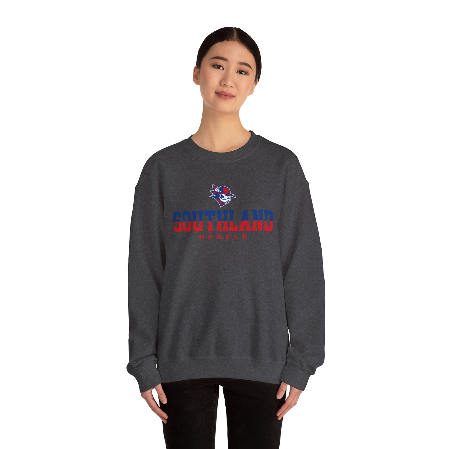 Southland Rebels Crewneck Sweatshirt – Vintage Collegiate Pullover