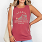 Acadia National Park, Maine, Nature, Outdoors, Camping, Hiking Comfort Colors Tank Top