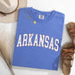 Arkansas, Football, Sports, Game Day, Big Game, Touchdown, Tailgate Party, University, College, State Tshirt Comfort Colors T-Shirt