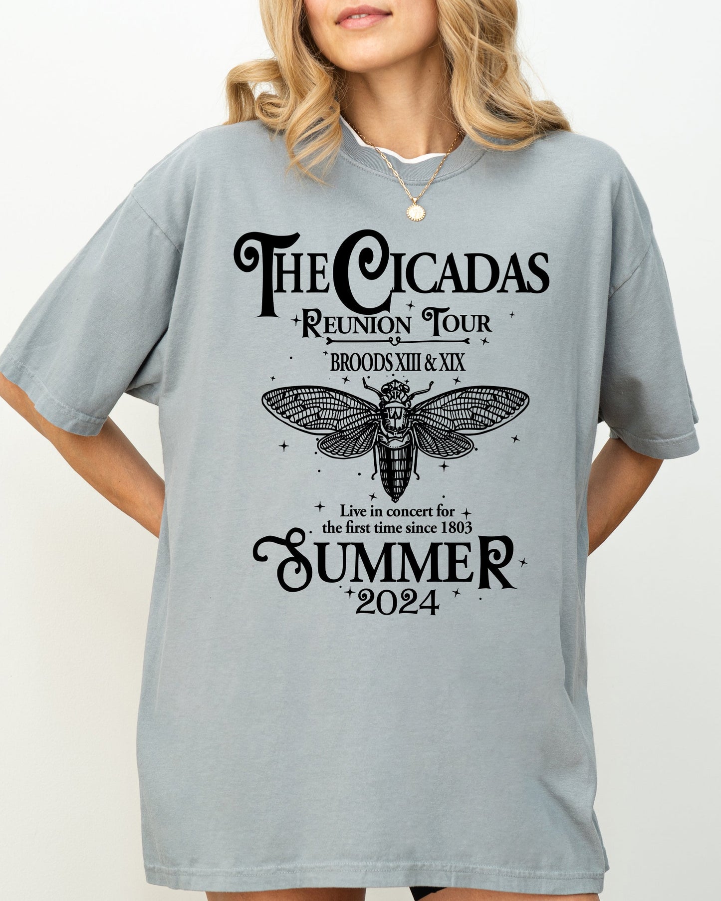 Cicadas Reunion Tour, Summer 2024, Nature Lover, Double Brood, XIII, XIX, Outdoors, Concert Shirt Comfort Colors T-Shirt