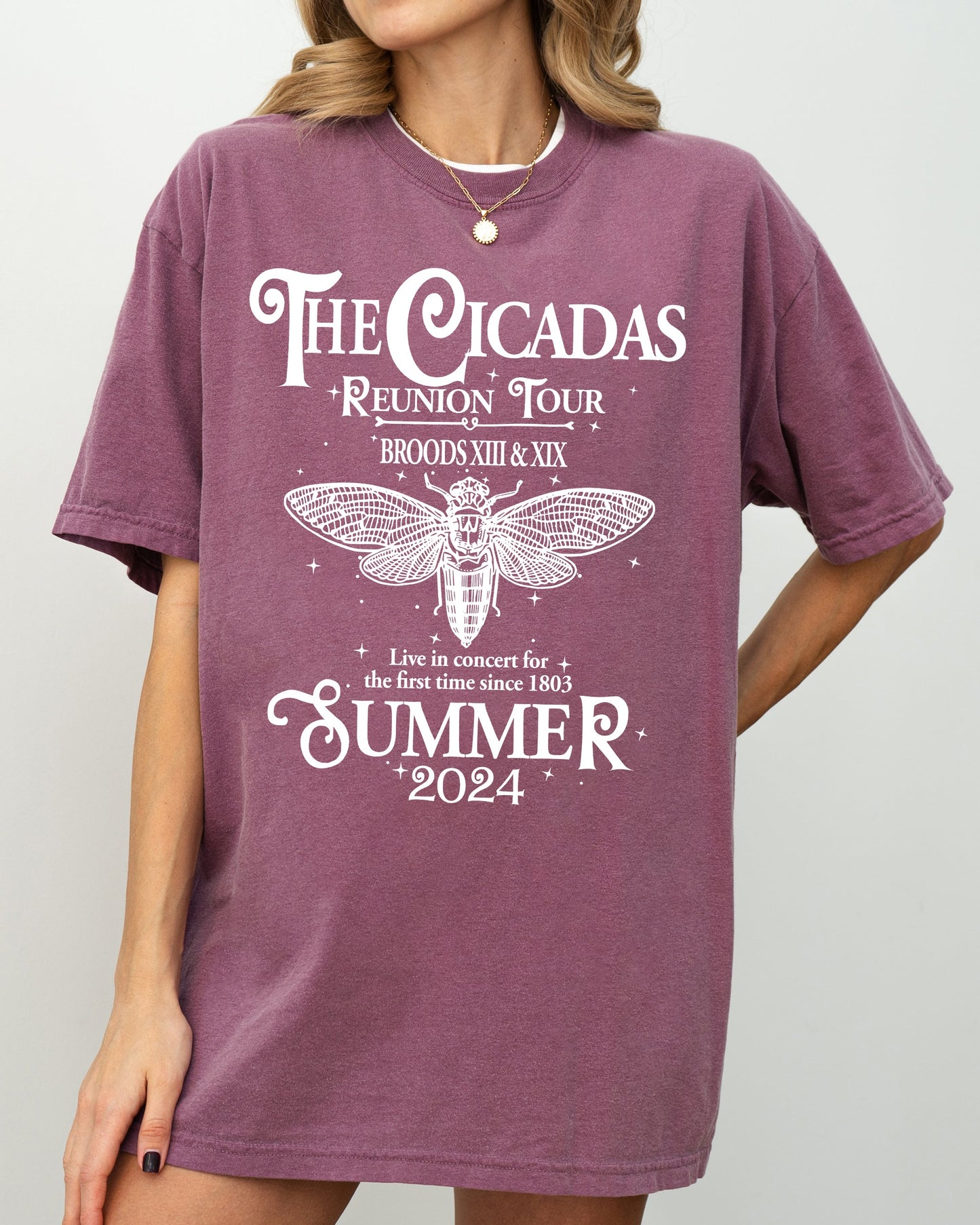 Cicadas Reunion Tour, Summer 2024, Nature Lover, Double Brood, XIII, XIX, Outdoors, Concert Shirt Comfort Colors T-Shirt