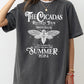 Cicadas Reunion Tour, Summer 2024, Nature Lover, Double Brood, XIII, XIX, Outdoors, Concert Shirt Comfort Colors T-Shirt