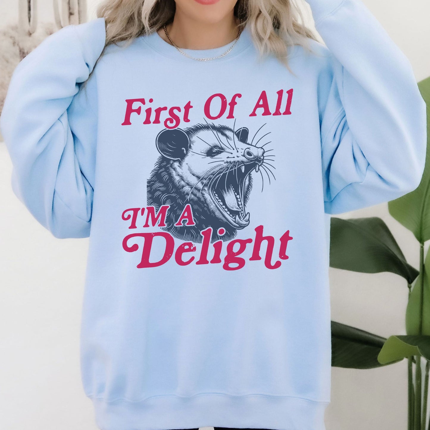 First Of All I'm A Delight, Possum, Trendy, Funny, Sarcastic Sweatshirt