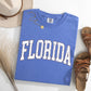 Florida, Football, Sports, Game Day, Big Game, Touchdown, Tailgate Party, University, College, State Tshirt Comfort Colors T-Shirt