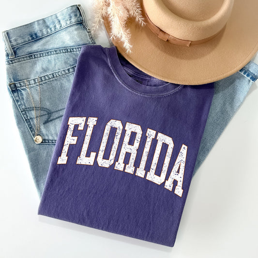 Florida, Football, Sports, Game Day, Big Game, Touchdown, Tailgate Party, University, College, State Tshirt Comfort Colors T-Shirt